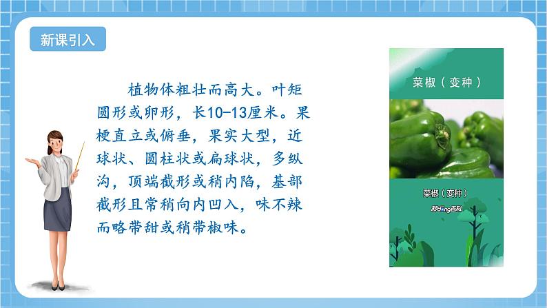 苏教版数学三年级下册1.1《口算两位数乘整十数》课件+教案+分层练习+任务清单04