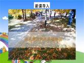 冀教版数学四年级上册 三 解决问题-参观植物园课件