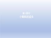 2024二年级数学下册五加与减5小蝌蚪的成长课件（北师大版）