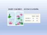 2024二年级数学下册五加与减5小蝌蚪的成长课件（北师大版）