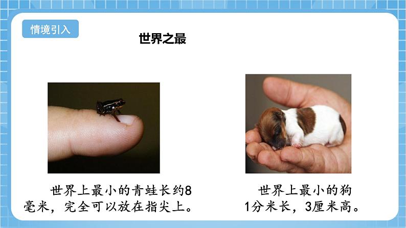 苏教版数学二年级下册5.1《认识分米和毫米》课件+教案+分层作业+学习任务单04