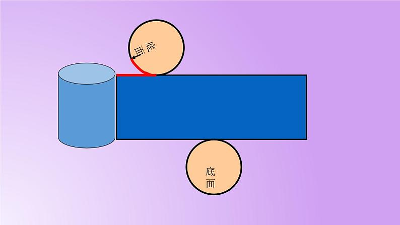 六年级下册数学北师大版1.2圆柱的表面积 ppt第8页