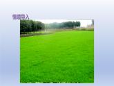 2024二年級數(shù)學下冊七愛心行動-圖形與拼組認識圖形課件（青島版六三制）