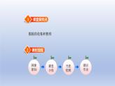 2024三年級數(shù)學(xué)下冊第7單元數(shù)據(jù)的整理和表示第1課時(shí)小小鞋店課件（北師大版）