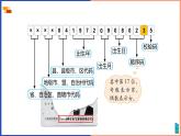 北師大版小學數(shù)學四年級上冊數(shù)學好玩第2課時《編碼》課件+教案