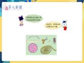 冀教版数学三年级上册 6.1.1  物体表面的周长 PPT课件