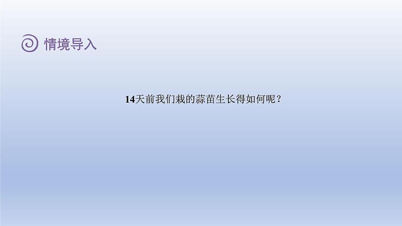 2024四年级数学下册第六单元数据的表示和分析2栽蒜苗一课件（北师大版）第3页