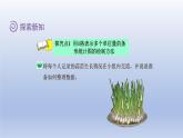 2024四年级数学下册第六单元数据的表示和分析2栽蒜苗一课件（北师大版）