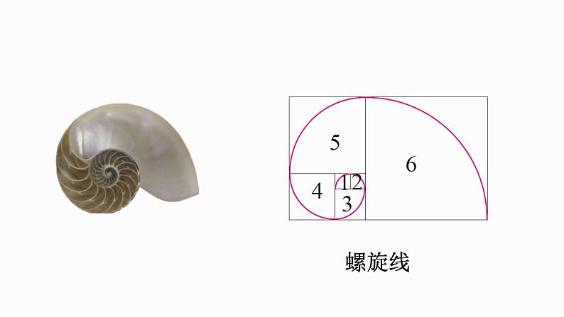 1.4 欣赏与设计（课件）-2024-2025学年六年级上册数学北师大版07