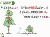 3.2 觀察的范圍（課件）-2024-2025學(xué)年六年級(jí)上冊(cè)數(shù)學(xué)北師大版