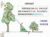 3.2 觀察的范圍（課件）-2024-2025學(xué)年六年級(jí)上冊(cè)數(shù)學(xué)北師大版