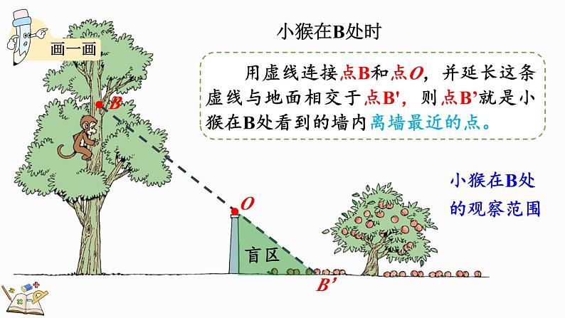 3.2 观察的范围（课件）-2024-2025学年六年级上册数学北师大版05