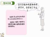 整理与复习（3）（课件）-2024-2025学年六年级上册数学北师大版
