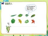 苏教版数学六年级上册 第3单元 第9课时 树叶中的比 PPT课件
