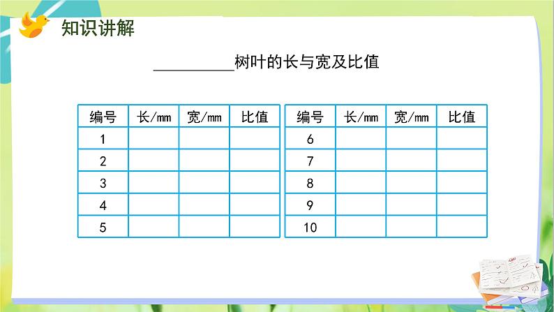 苏教版数学六年级上册 第3单元 第9课时 树叶中的比 PPT课件第7页