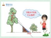 北師大版六年級(jí)數(shù)學(xué)上冊(cè)第三章第2節(jié)觀察范圍 課件