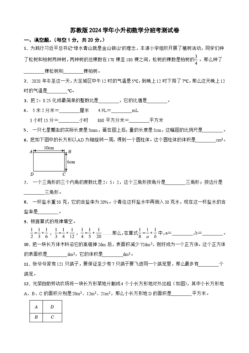 苏教版2024学年小升初数学分班考测试卷第1页