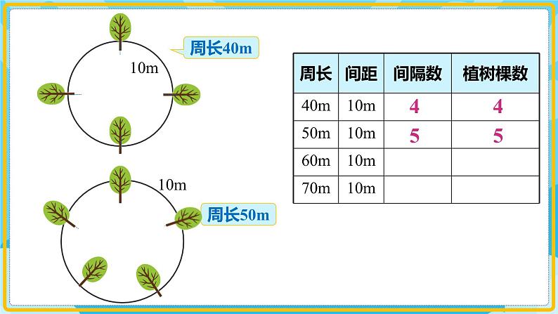 人教版小学数学五年级上册7.2《植树问题（2）》课件08