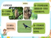 冀教版小学数学三年级上册2.3《两位数乘一位数》课件