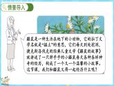 数学好玩（3） 数图形的学问（课件）-2024-2025学年四年级上册数学北师大版