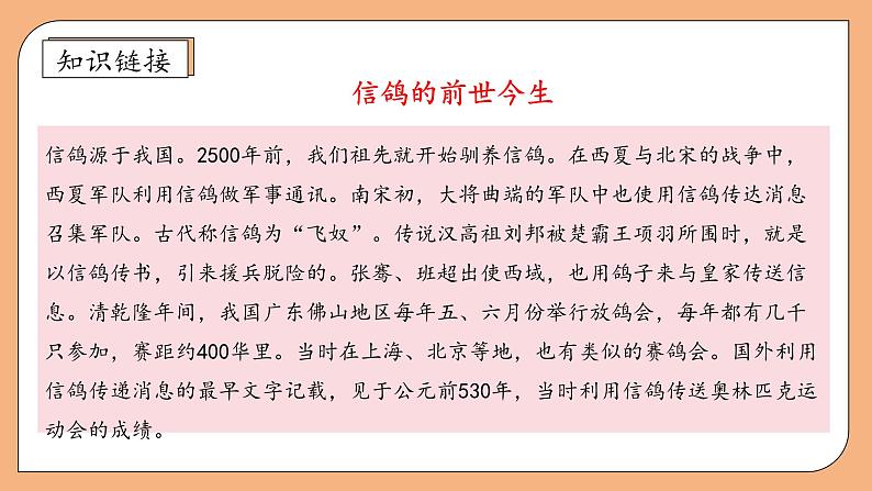 【核心素养】苏教版数学二年级上册-6.6 乘法口诀表（课件+教案+导学案+习题）07