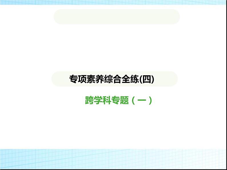 鲁教版六年级数学上册专项素养综合练(四)跨学科专题(一)课件01