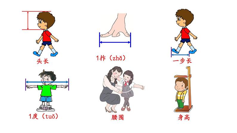 【核心素养】北师大版小学数学二上 数学好玩2 寻找身体上的数学秘密  课件＋教案06