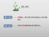 3.3《有多少点子》（教学课件）二年级+数学上册+北师大版