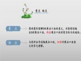 5.1《数松果》（教学课件）二年级+数学上册+北师大版