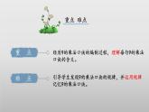 8.3《买球》（教学课件）二年级+数学上册+北师大版