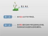 4.2《玩一玩，做一做》（教学课件）二年级+数学上册+北师大版