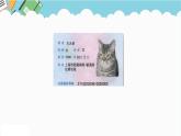 2024六年級數(shù)學下冊五探索樂園第1課時身份證號碼課件（冀教版）