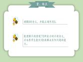 人教版小学数学一年级上册第一单元5以内数的加、减法《0的认识和加、减法》课件