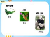 冀教版小学数学六年级上册1.2《分数和百分数的大小比较及互化》课件