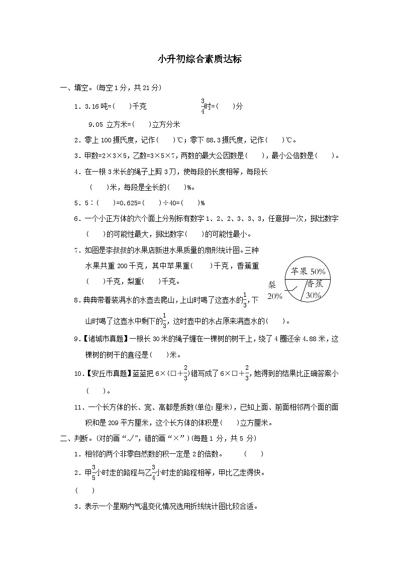 2024小升初数学综合素质达标试卷（附答案青岛版六三制）第1页