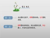 【核心素養(yǎng)】北師大版數(shù)學(xué)六年級上冊 1.1 圓的認(rèn)識（一）（教學(xué)課件+同步練習(xí)）