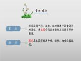 【核心素养】北师大版数学六年级上册 1.3 欣赏与设计（教学课件+同步练习）