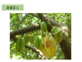 【核心素养】北师大版数学六年级上册 3.1《搭积木比赛》（教学课件+同步练习）
