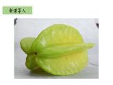 【核心素养】北师大版数学六年级上册 3.1《搭积木比赛》（教学课件+同步练习）