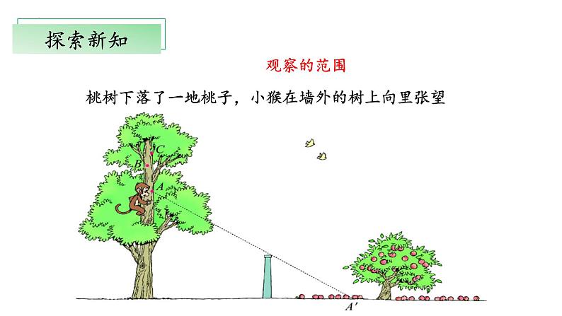 【核心素养】北师大版数学六年级上册 3.2《观察的范围》（教学课件+同步练习）07