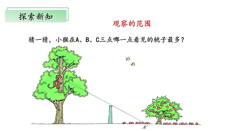 【核心素养】北师大版数学六年级上册 3.2《观察的范围》（教学课件+同步练习）08