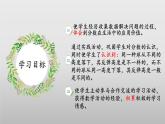 【核心素养】北师大版数学六年级上册 数学好玩《反弹高度》（教学课件+同步练习）