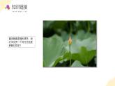 【核心素養(yǎng)】蘇教版數(shù)學(xué)六年級上冊 第1單元第3課時  長方體和正方體的展開圖  教學(xué)課件+同步教案+同步練習(xí)