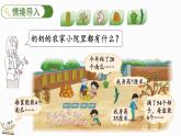 北师大版二年级数学上册课件 9.3 农家小院