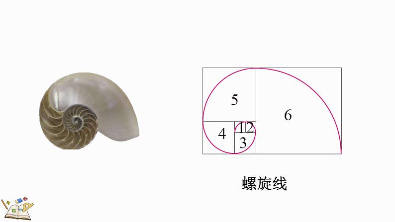 北师大版六年级数学上册课件 1.4 欣赏与设计第7页