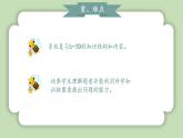 人教版小学数学一年级上册第二单元6-10的认识和加、减法《整理与复习》课件