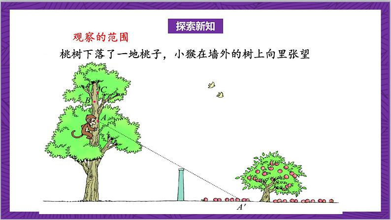 北师大版数学六年级上册 3.2《观察的范围》课件07