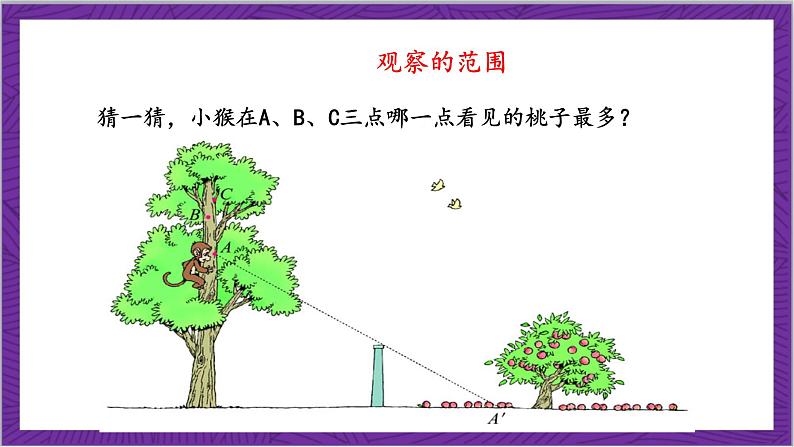 北师大版数学六年级上册 3.2《观察的范围》课件08