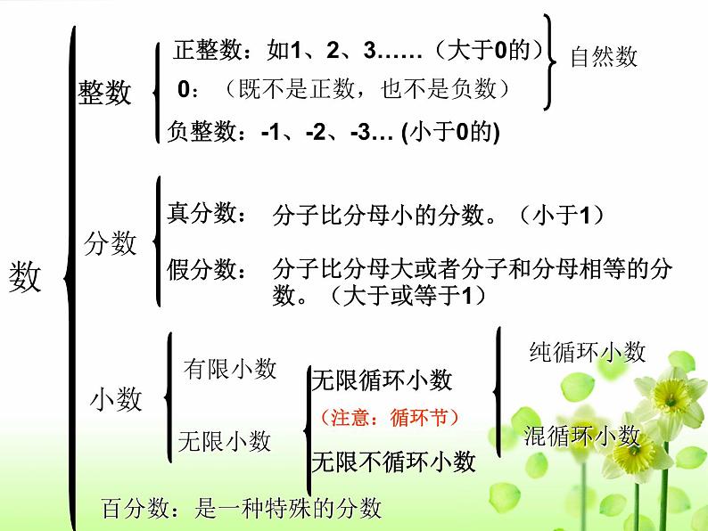 人教版小学数学毕业总复习课件2第4页