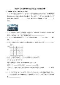 2024年山东省聊城市东昌府区小升初数学试卷